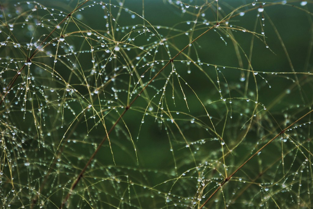 Instant de vie poétique : respirer avec&nbsp;l&rsquo;orage
